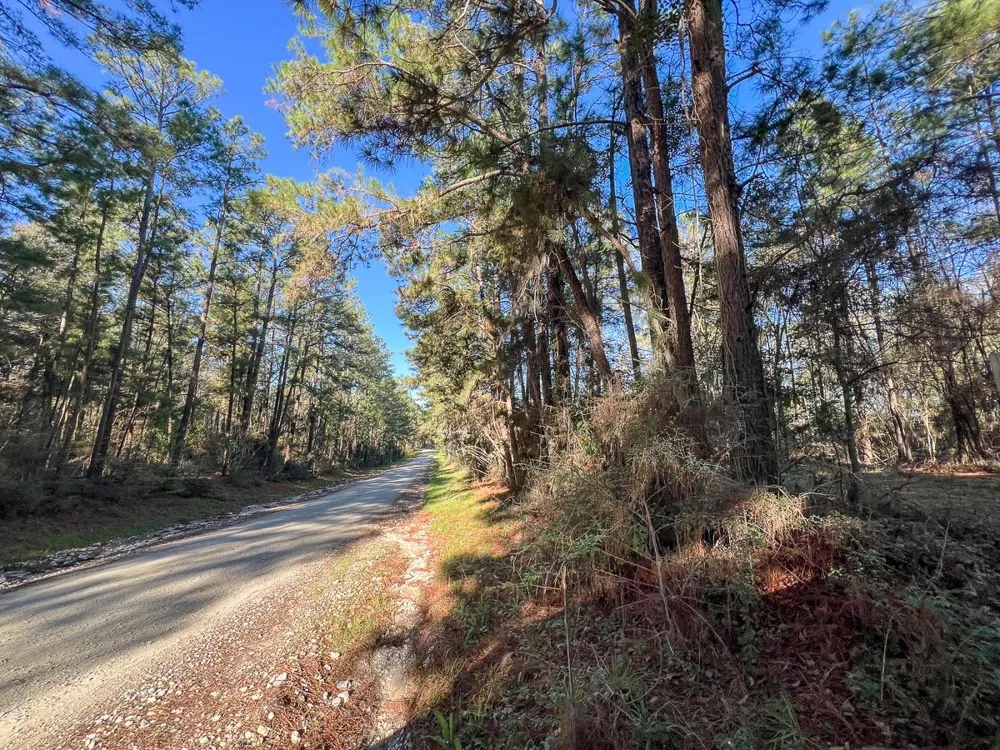 1 Bishop Road Huntsville, TX 77320