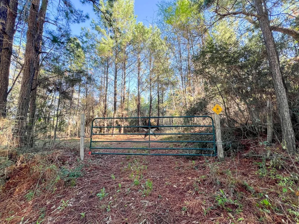 1 Bishop Road Huntsville, TX 77320