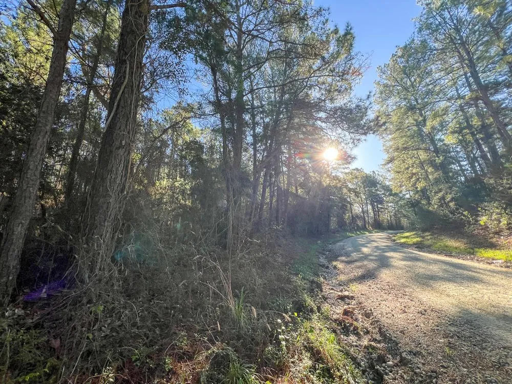 1 Bishop Road Huntsville, TX 77320