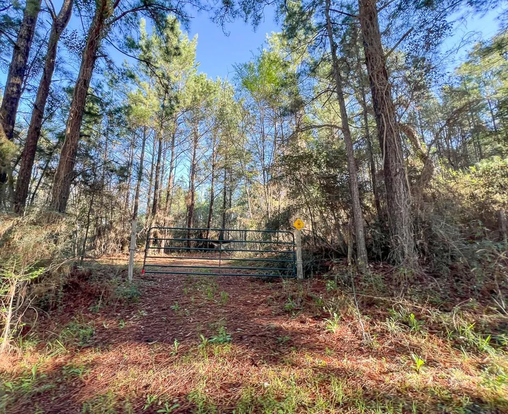 1 Bishop Road Huntsville, TX 77320