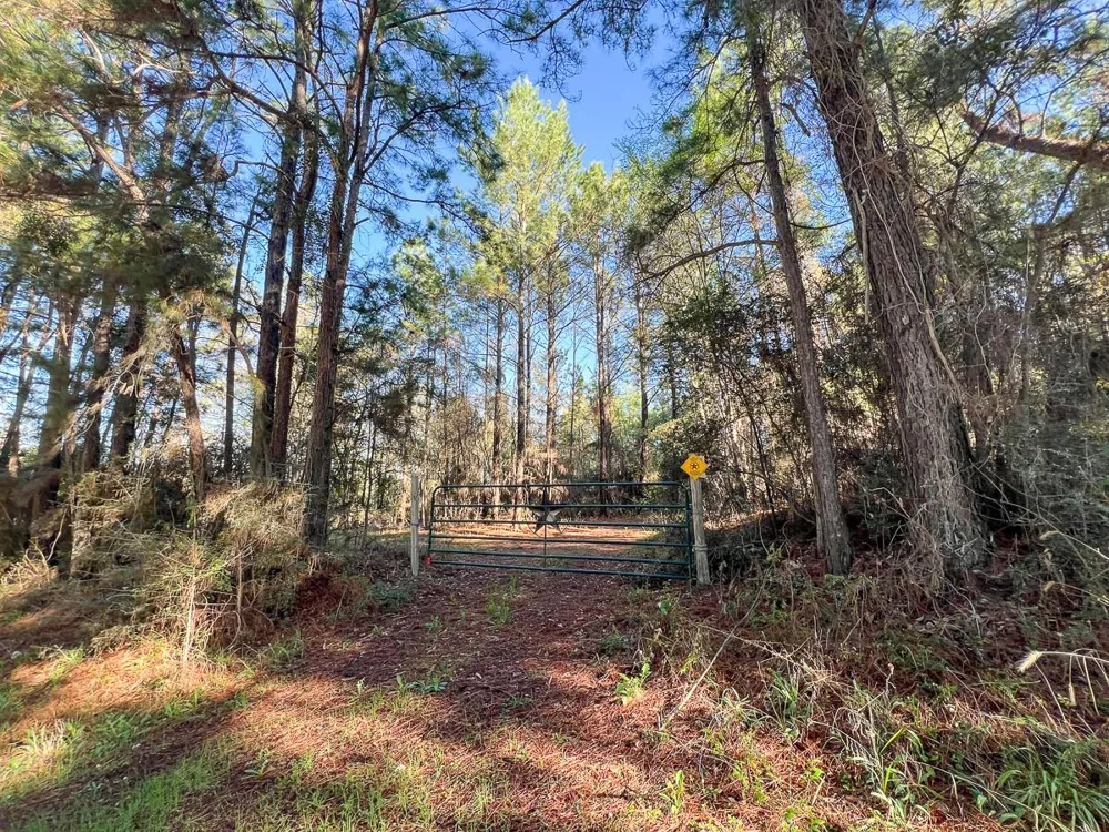 1 Bishop Road Huntsville, TX 77320