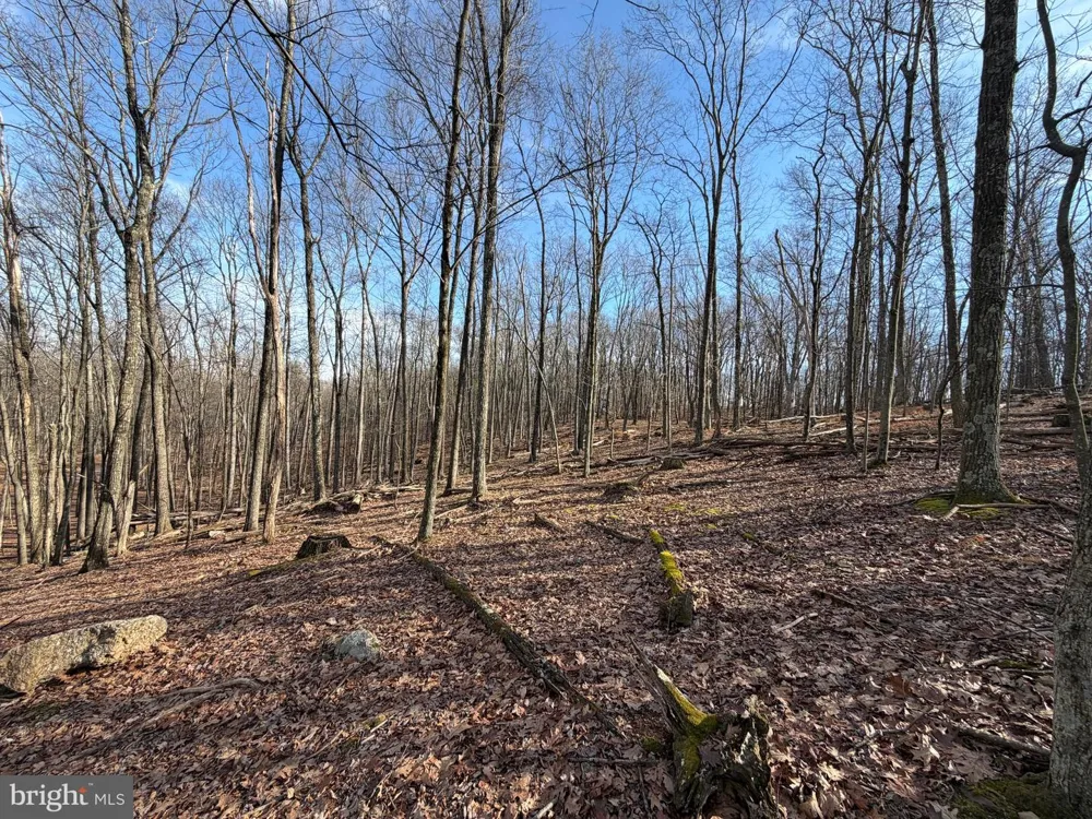329 WHITEFACE CIRCLE Zion Grove, PA 17985