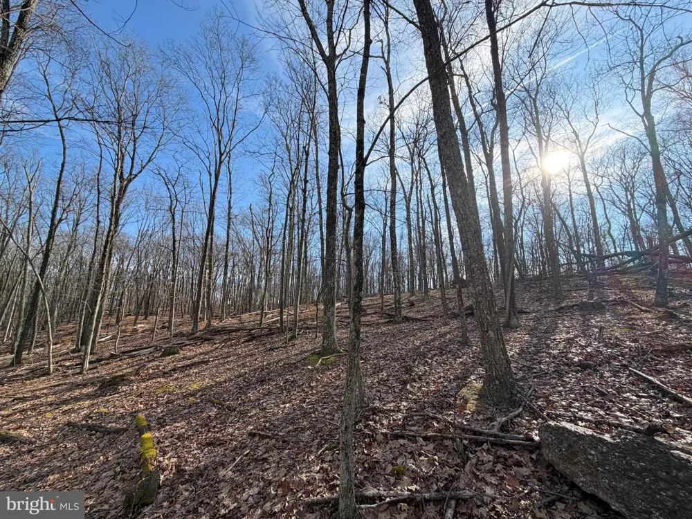 329 WHITEFACE CIRCLE Zion Grove, PA 17985