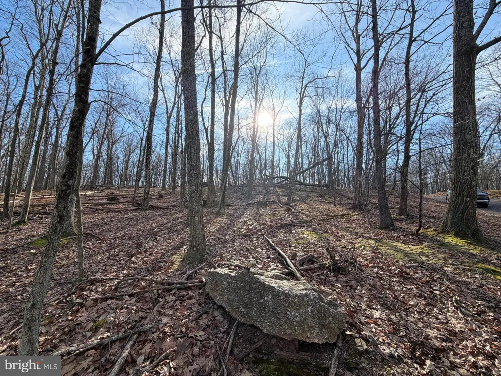 329 WHITEFACE CIRCLE Zion Grove, PA 17985