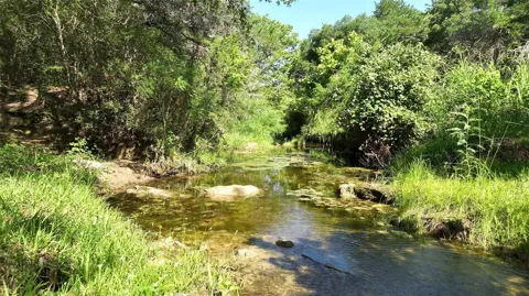 1649 County Road 209