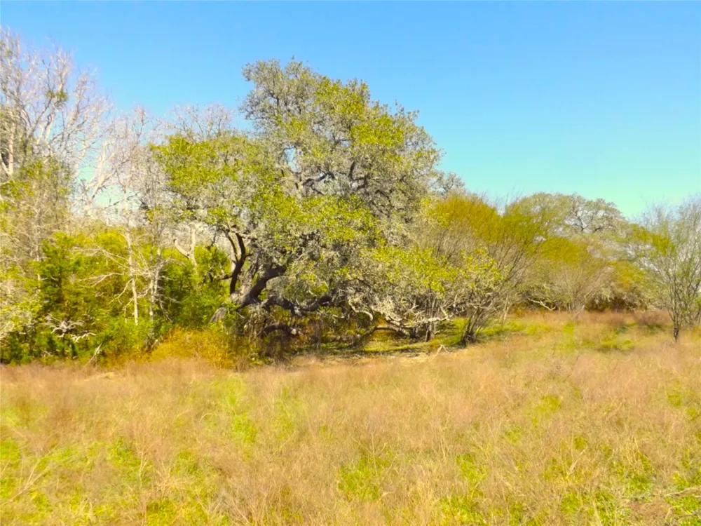 1649 County Road 209 Weimar, TX 78962
