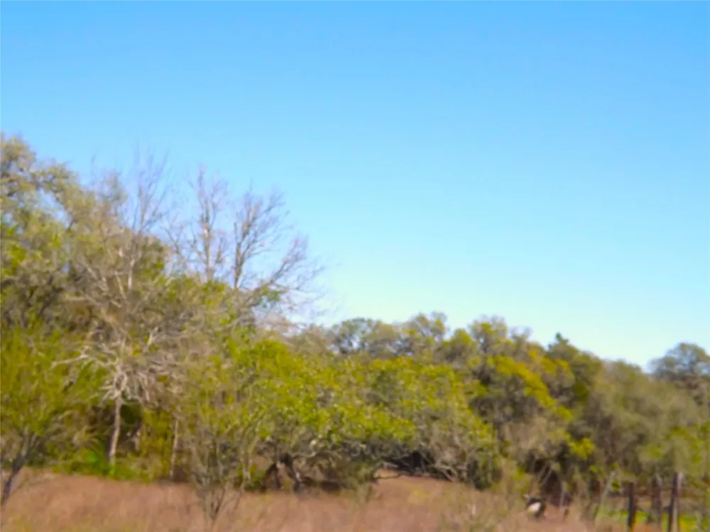 1649 County Road 209 Weimar, TX 78962