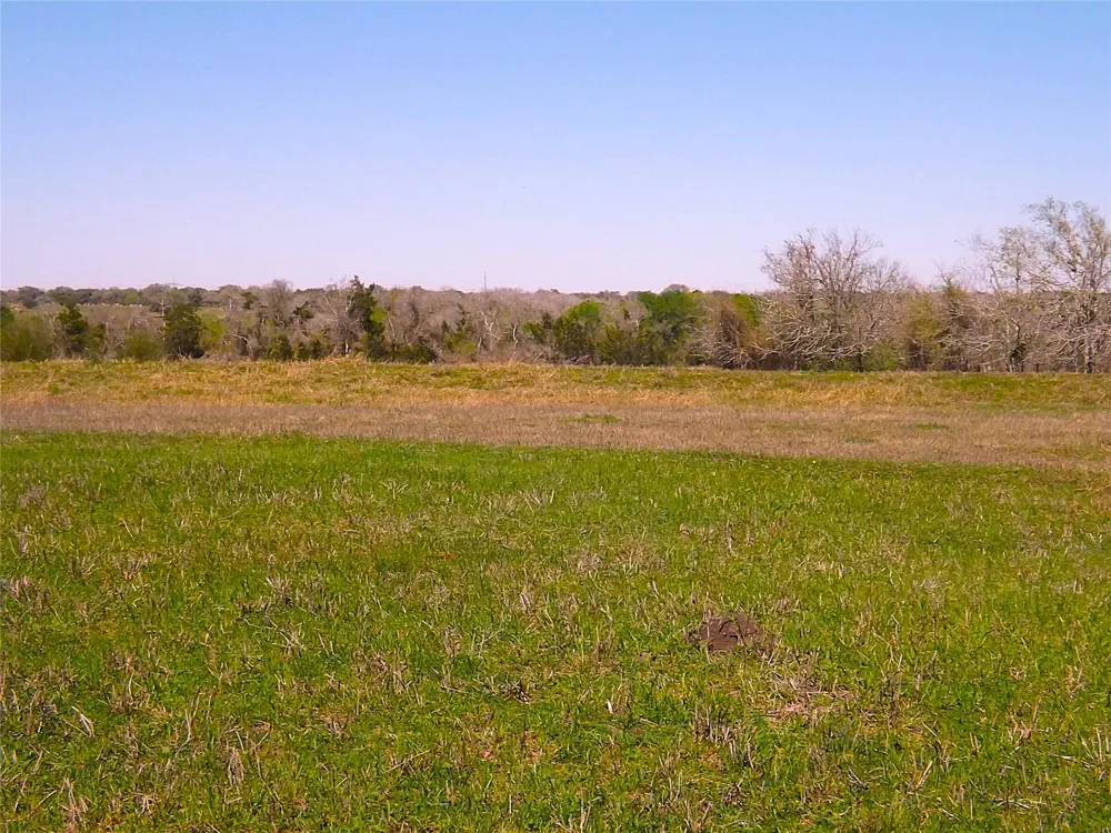 1649 County Road 209 Weimar, TX 78962