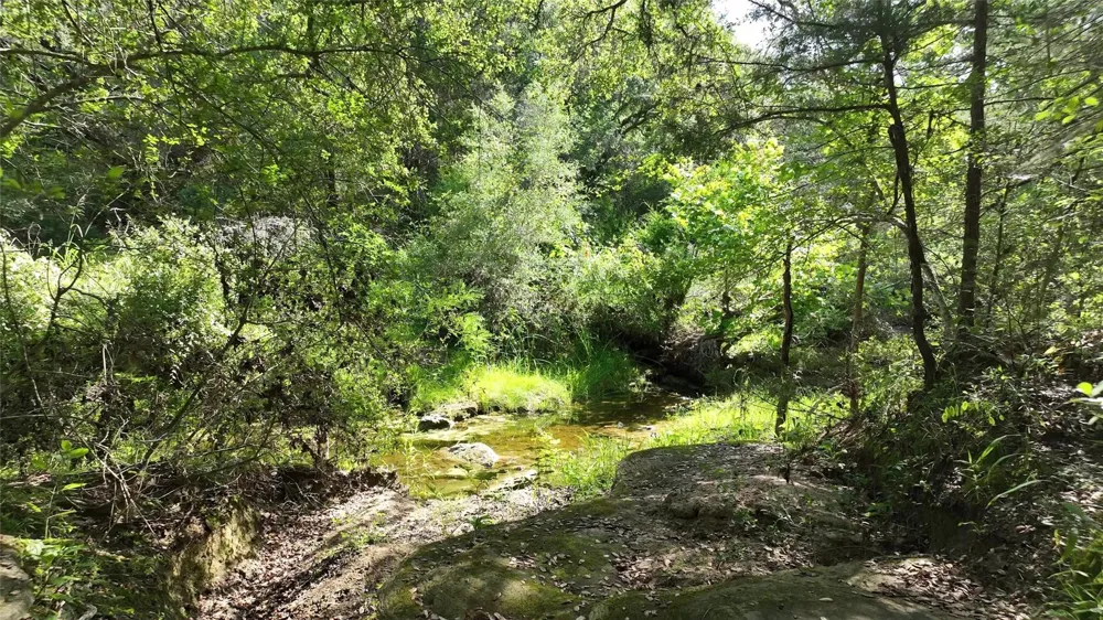 1649 County Road 209 Weimar, TX 78962