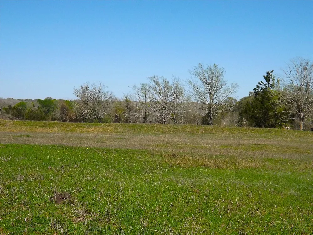 1649 County Road 209 Weimar, TX 78962