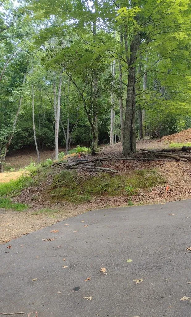 0 Radiant Cove Brasstown, NC 28902