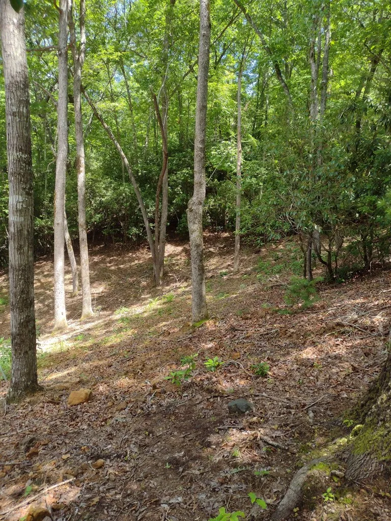 0 Radiant Cove Brasstown, NC 28902
