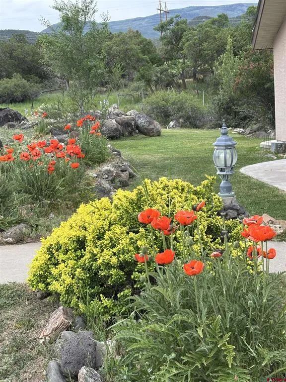 51755 KE ROAD Mesa, CO 81643