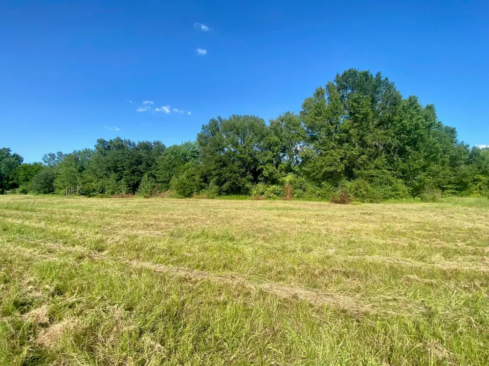 135 Jb Mcduff Drive Crockett, TX 75835