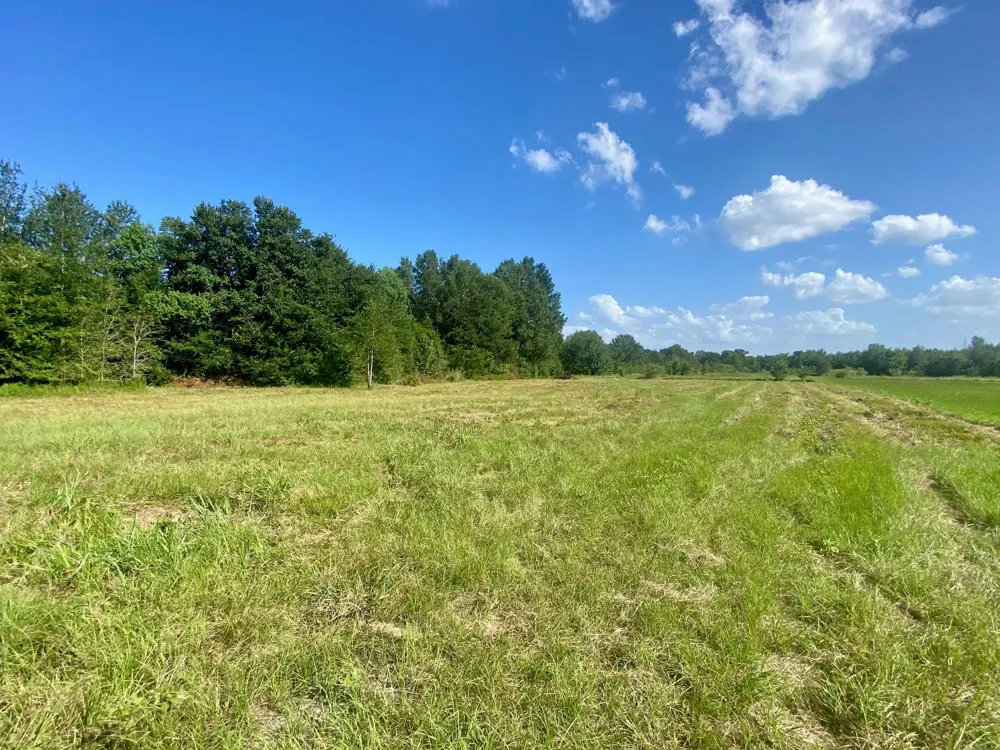 135 Jb Mcduff Drive Crockett, TX 75835