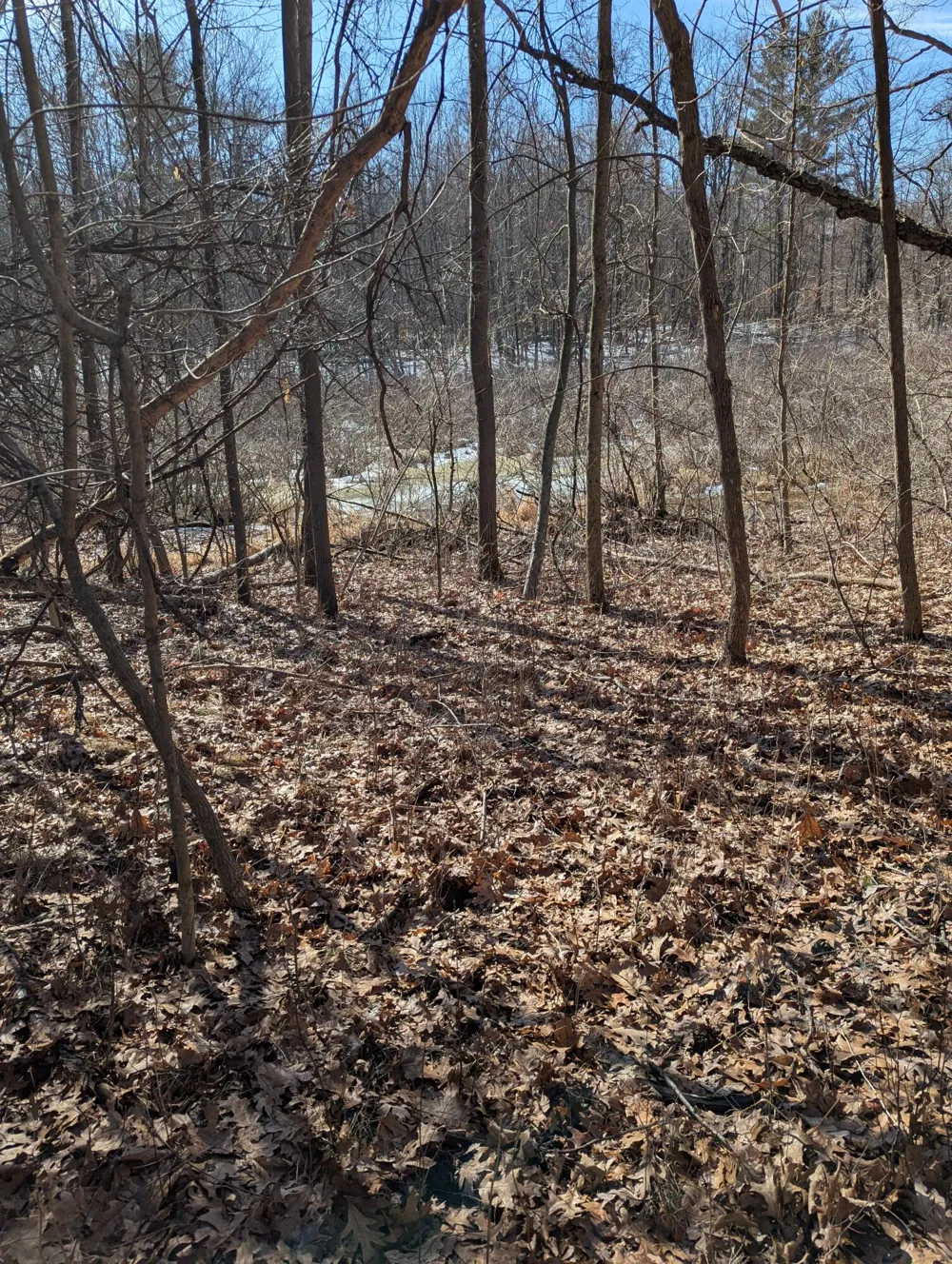 E 136th Street Sand Lake, MI 49343