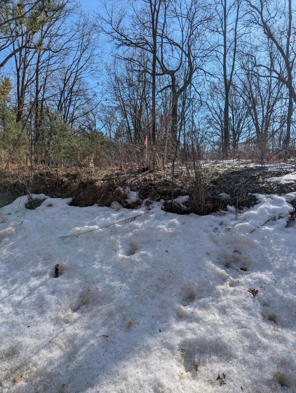 E 136th Street Sand Lake, MI 49343