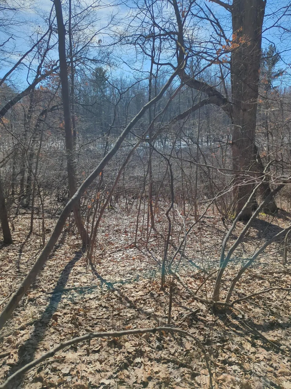 E 136th Street Sand Lake, MI 49343