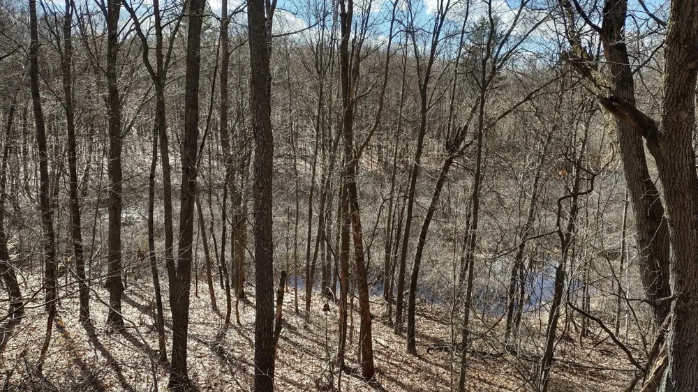 E 136th Street Sand Lake, MI 49343