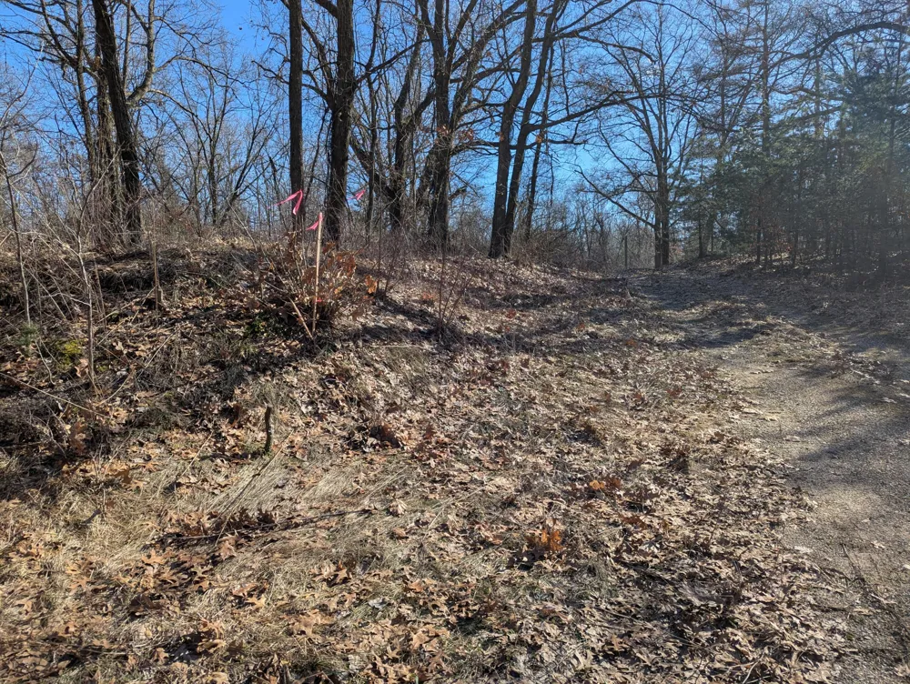 E 136th Street Sand Lake, MI 49343