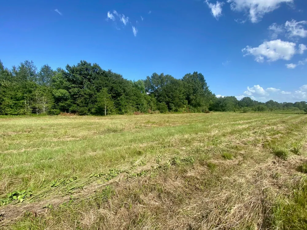 136 Jb Mcduff Drive Crockett, TX 75835