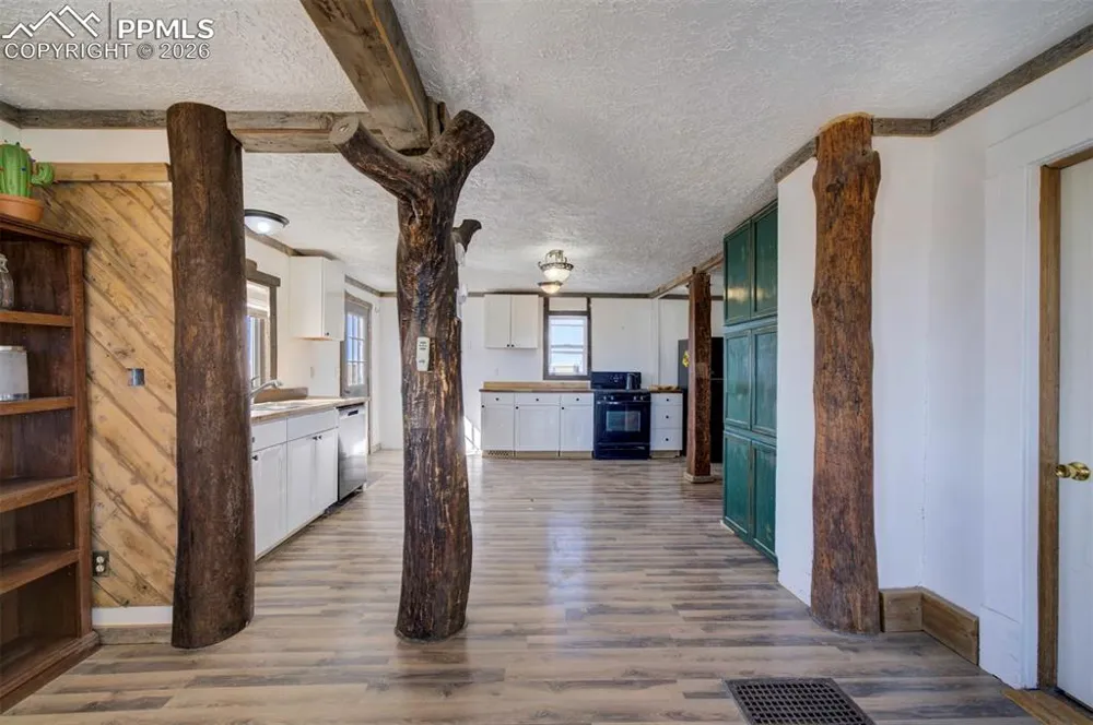 10573 County Road 165 Matheson, CO 80830