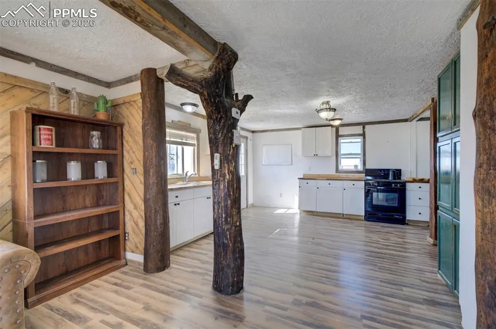 10573 County Road 165 Matheson, CO 80830
