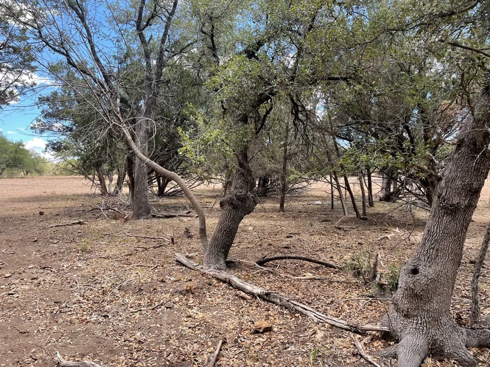 183 Highway Lampasas, TX 76550
