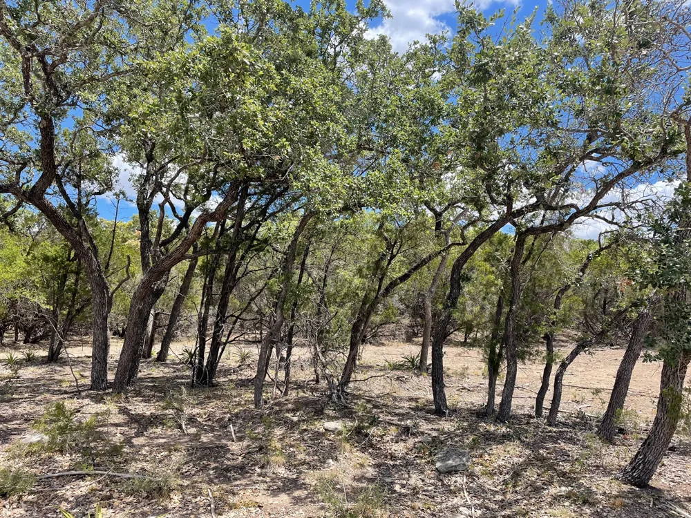 183 Highway Lampasas, TX 76550