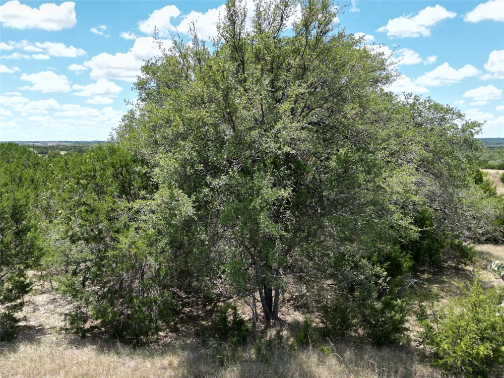 183 Highway Lampasas, TX 76550