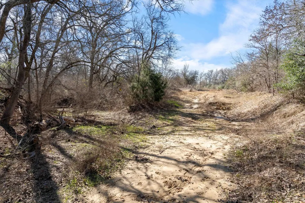 1540 State Highway 95 Highway Bastrop, TX 78602