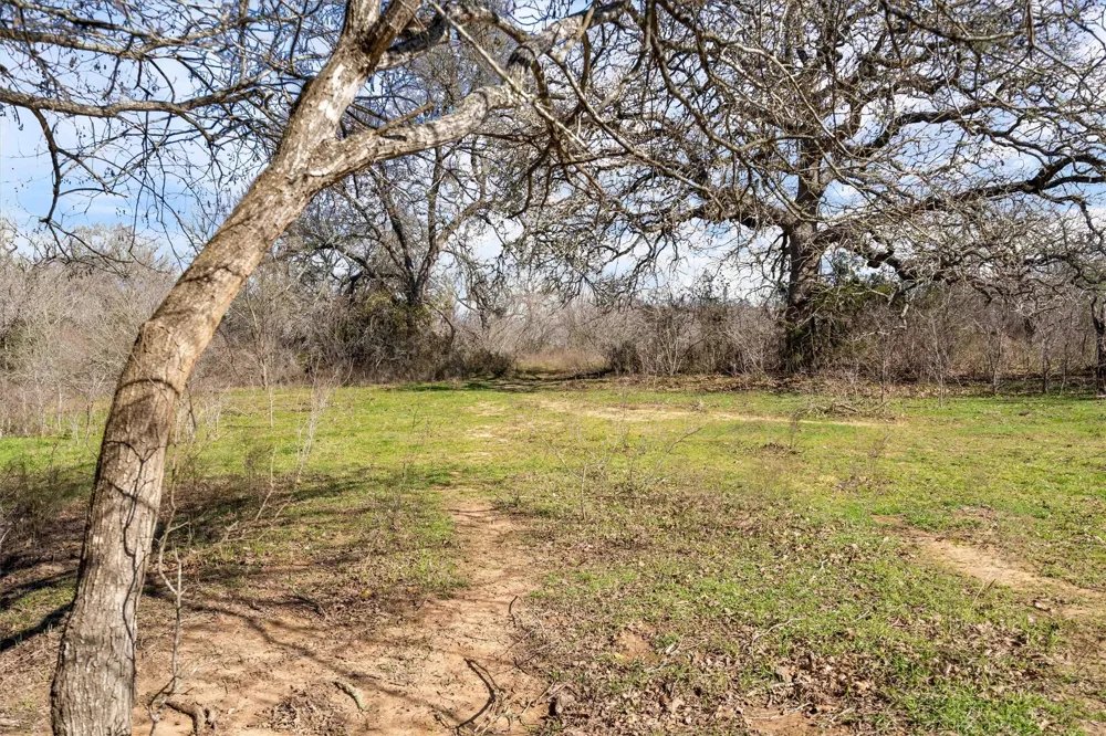 1540 State Highway 95 Highway Bastrop, TX 78602