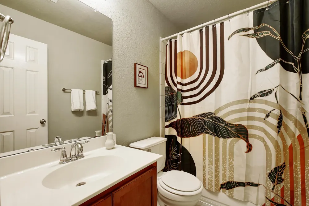 106 Wild Plum San Marcos, TX 78666