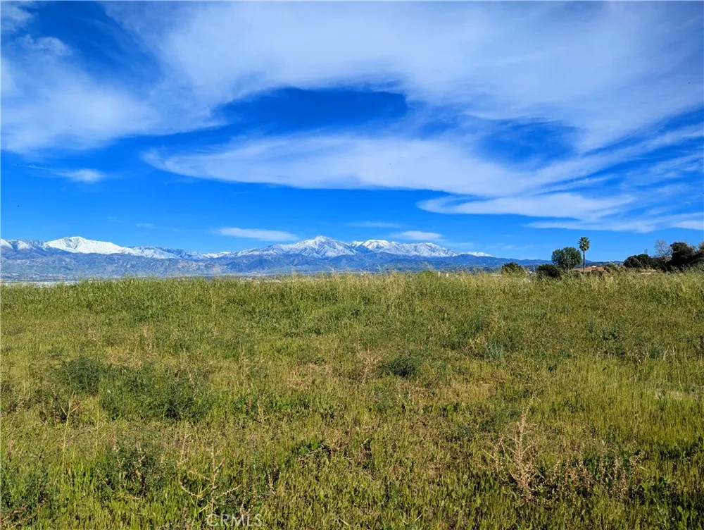 11640 Richardson Loma Linda, CA 92354