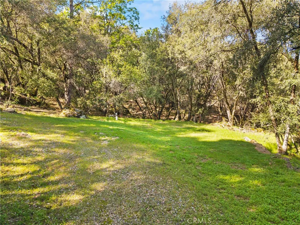 1371 Moccasin Trail Placerville, CA 95667