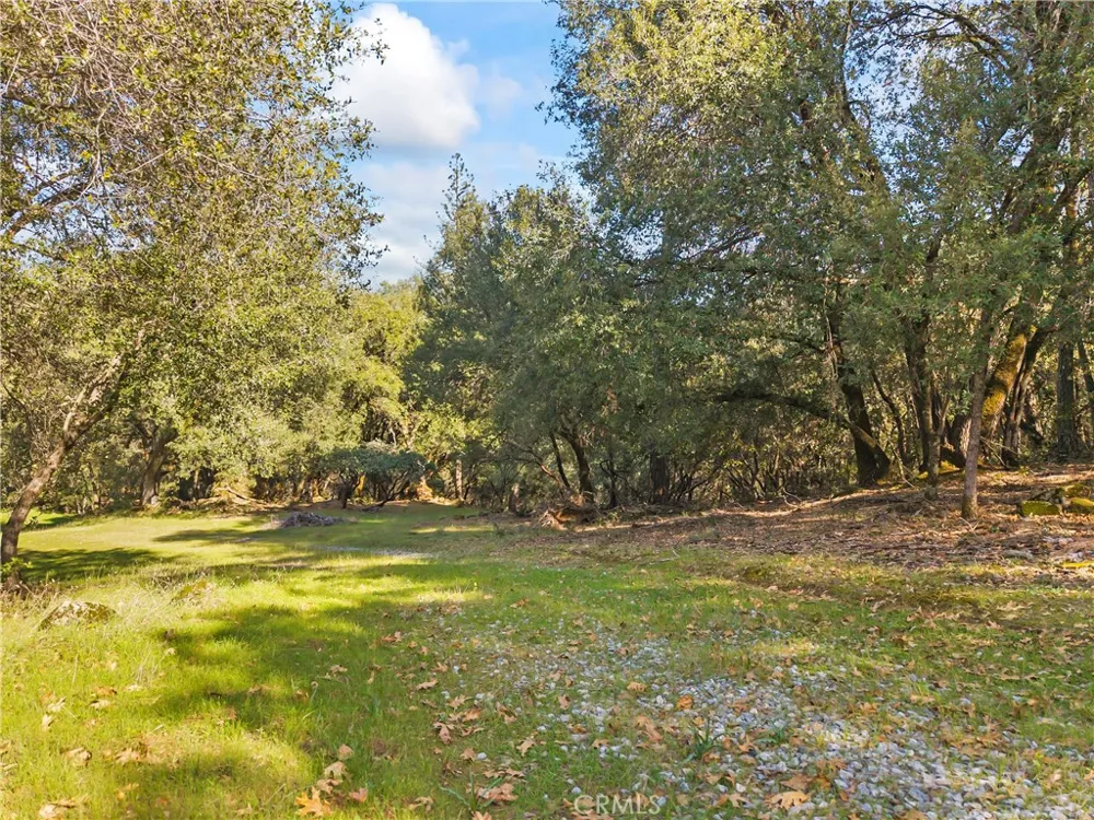 1371 Moccasin Trail Placerville, CA 95667