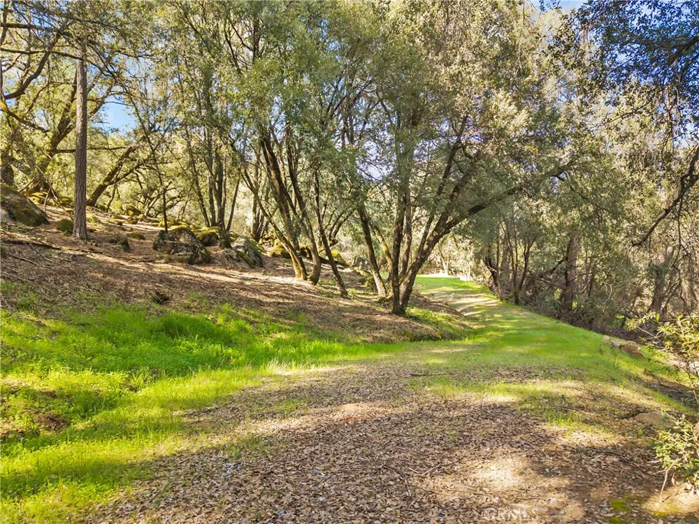 1371 Moccasin Trail Placerville, CA 95667