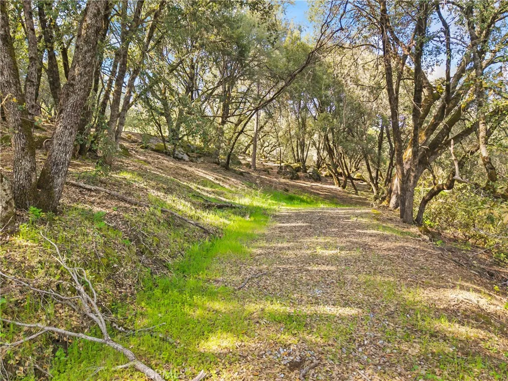 1371 Moccasin Trail Placerville, CA 95667