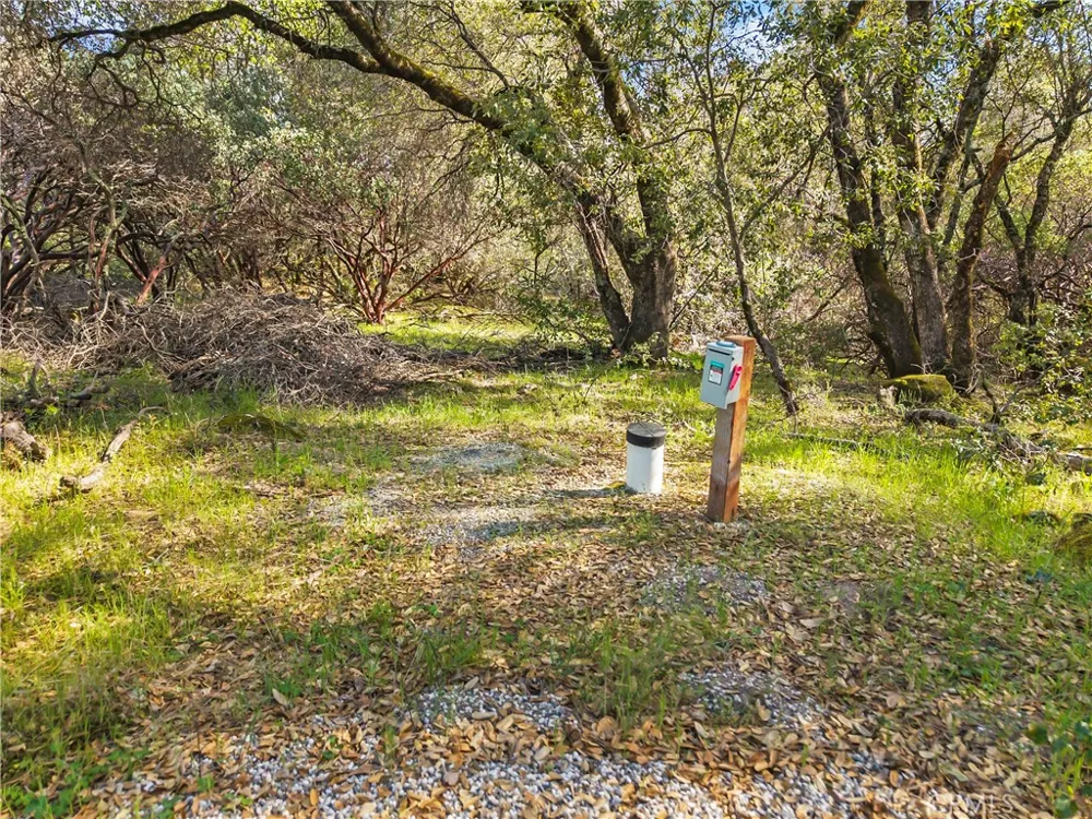 1371 Moccasin Trail Placerville, CA 95667