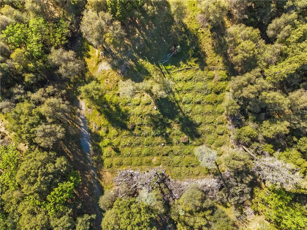 1371 Moccasin Trail Placerville, CA 95667