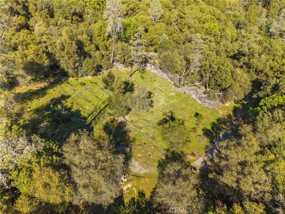 1371 Moccasin Trail Placerville, CA 95667