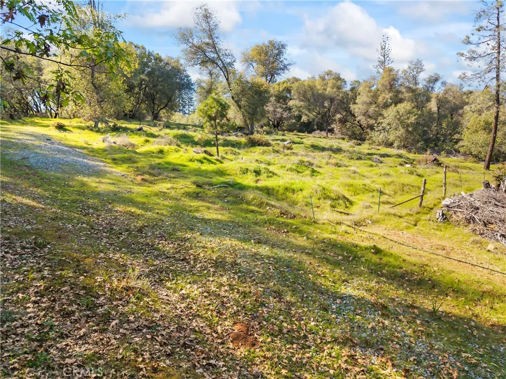 1371 Moccasin Trail Placerville, CA 95667