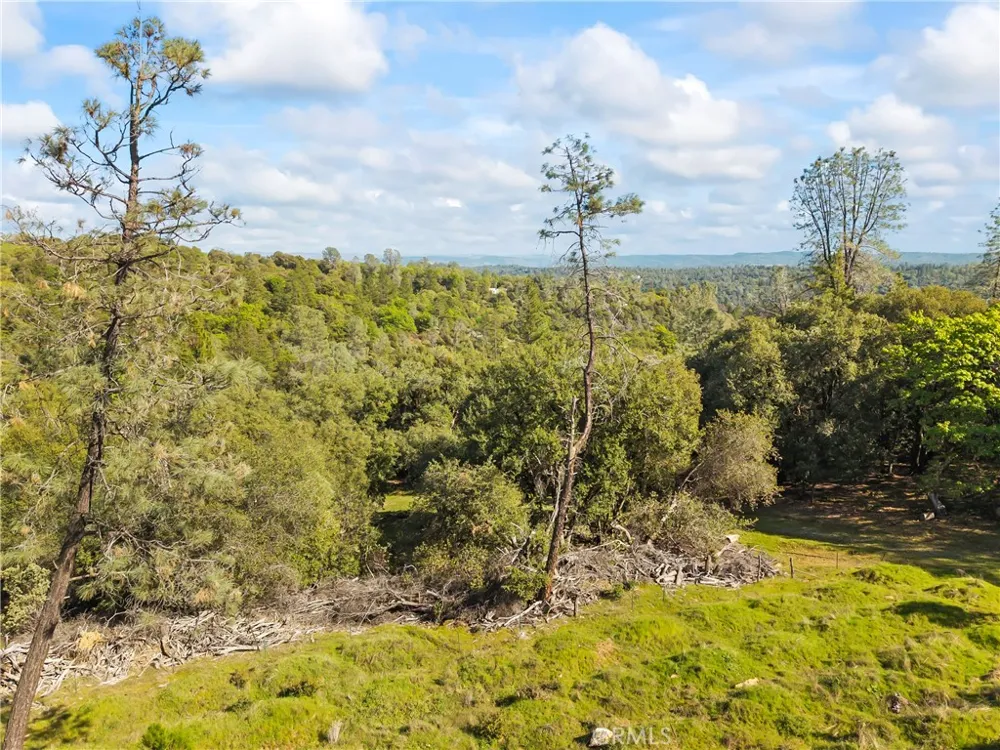 1371 Moccasin Trail Placerville, CA 95667