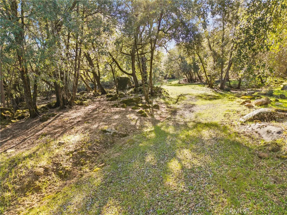 1371 Moccasin Trail Placerville, CA 95667