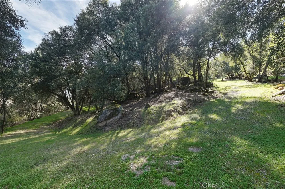1371 Moccasin Trail Placerville, CA 95667