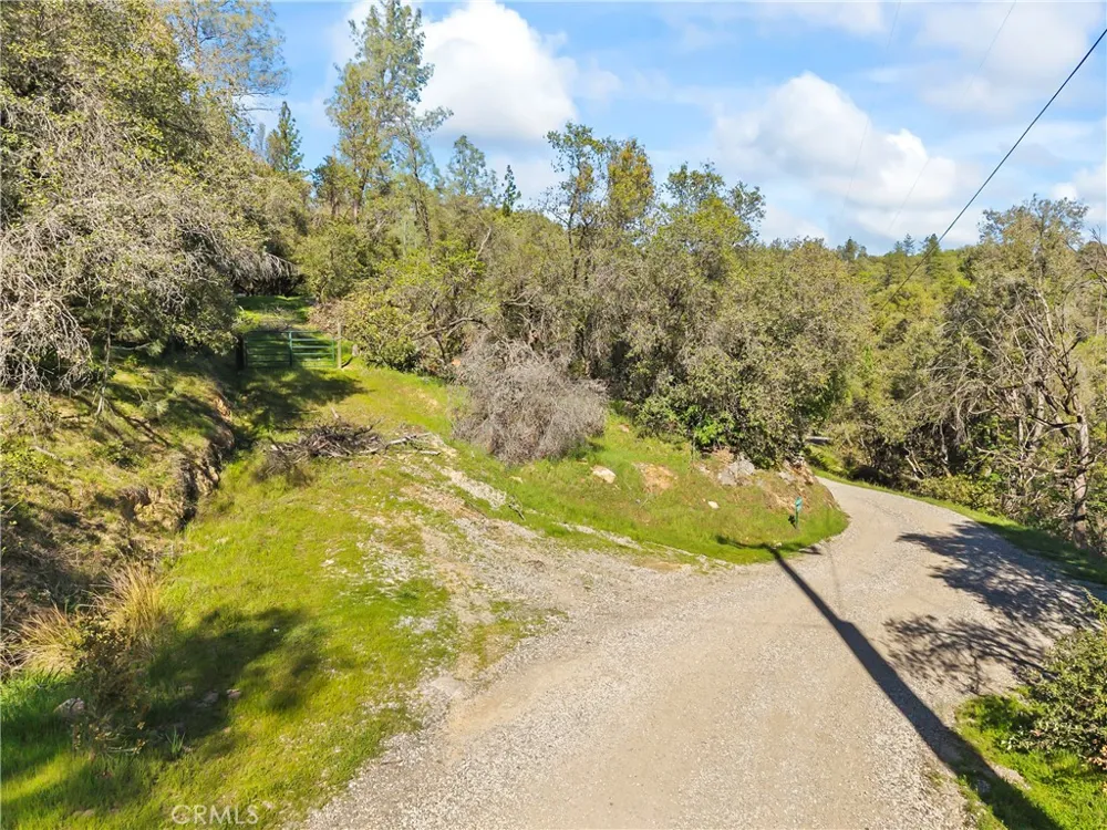 1371 Moccasin Trail Placerville, CA 95667
