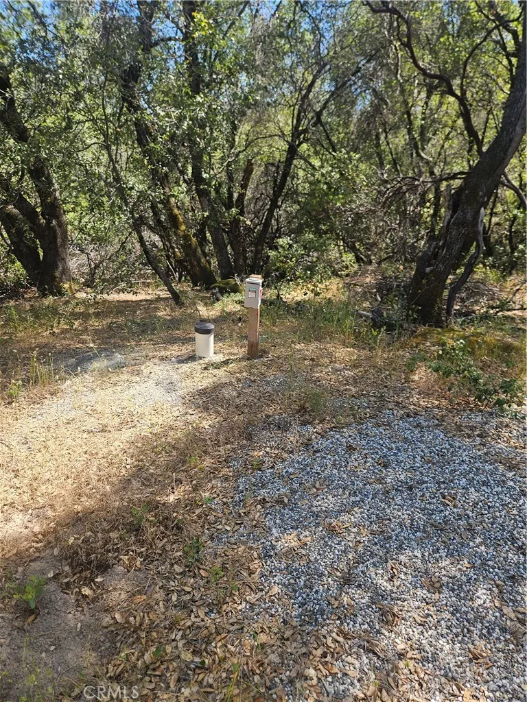 1371 Moccasin Trail Placerville, CA 95667