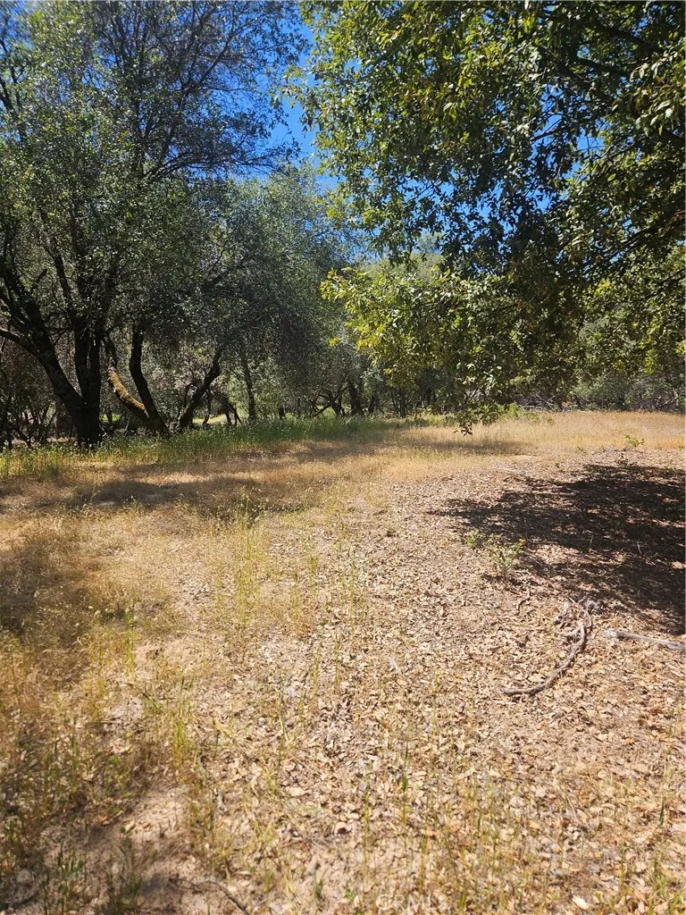 1371 Moccasin Trail Placerville, CA 95667