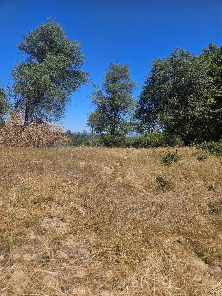1371 Moccasin Trail Placerville, CA 95667