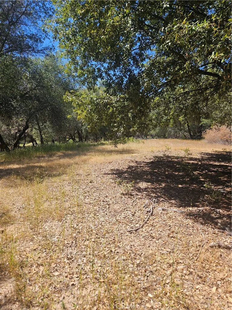 1371 Moccasin Trail Placerville, CA 95667